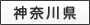�_�ސ쌧